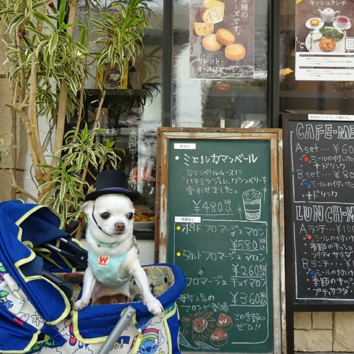 850bae89 2f42 40da b68c 09559bc90838