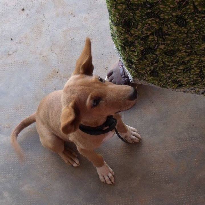 850c8f34 6300 4716 bc26 dc86b697b1e3