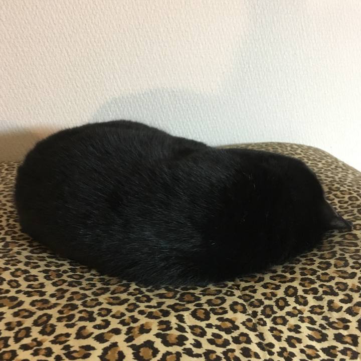 850e0a70 425a 446e 9b92 1306d67338a7