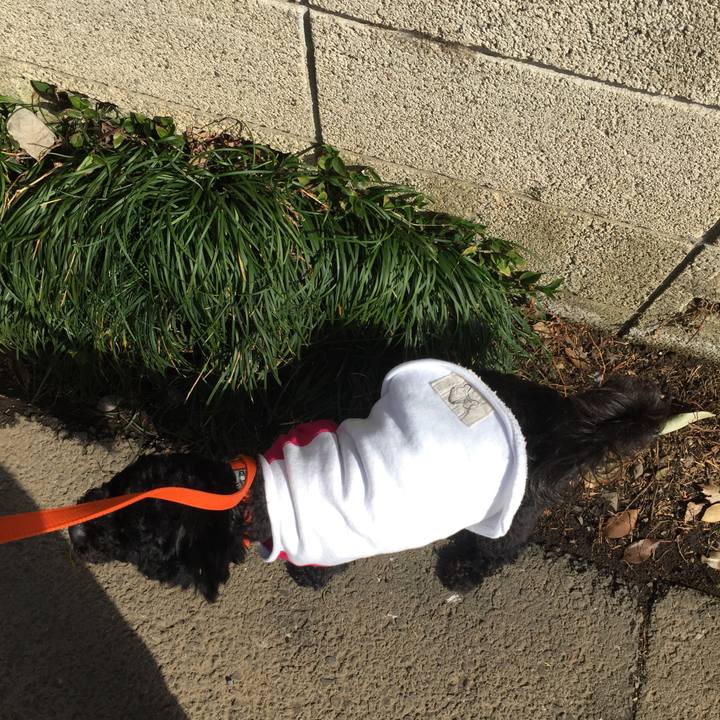 850e0f87 06c4 4a62 a613 faf74d86cd73