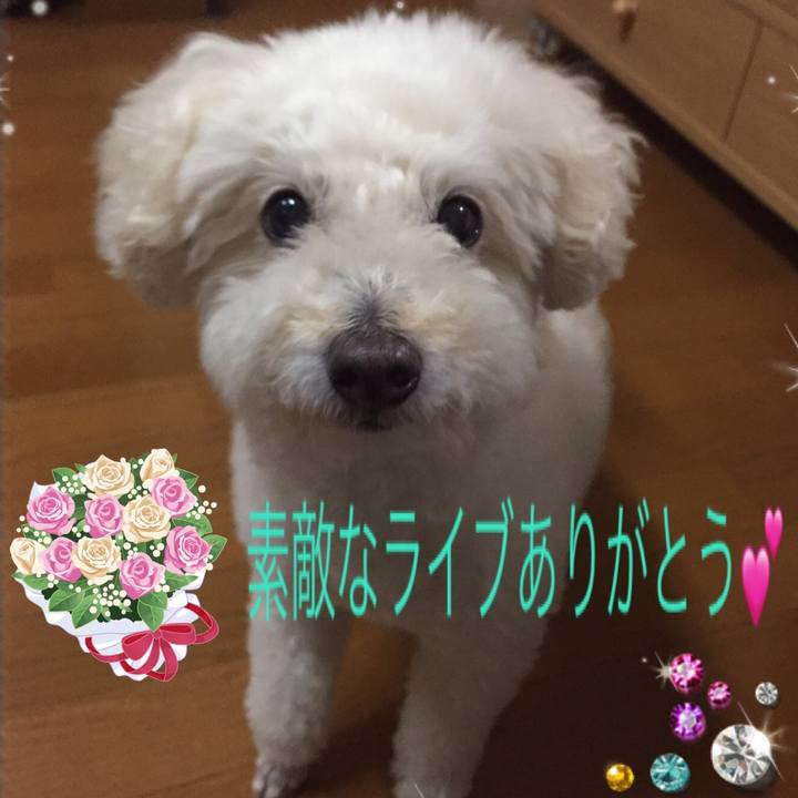 850f0e20 7ddb 463c 9c7c 80826e1176d4