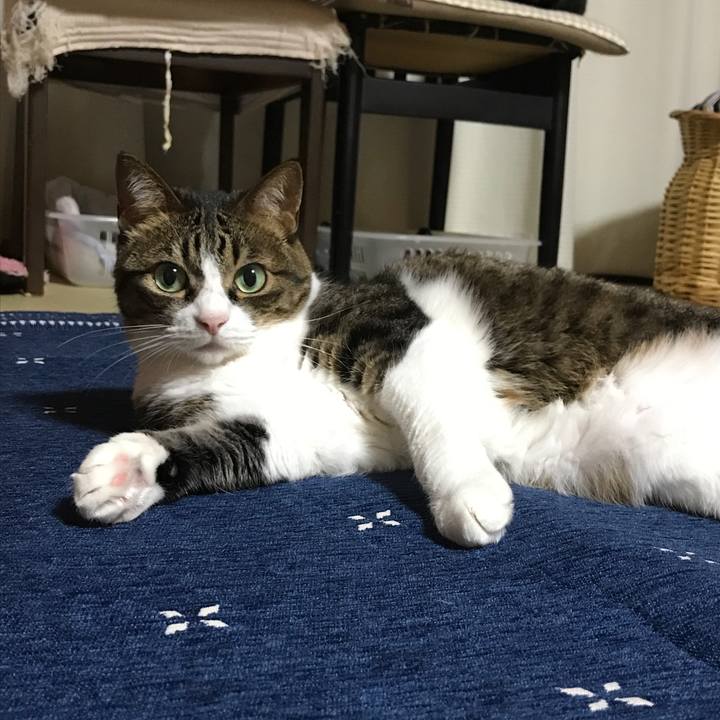 850fb197 9eb8 4b27 af65 34f9957e8083