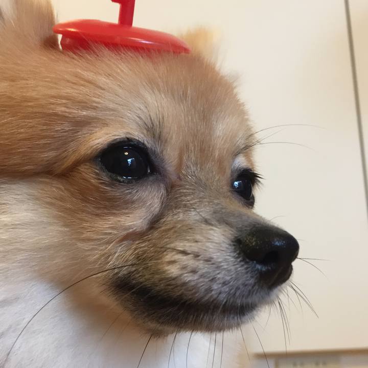 85102200 0d5b 4409 bfd6 67792ce619f1