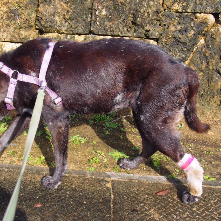 85105401 d5fd 4b78 8f7b cccfe96736b9