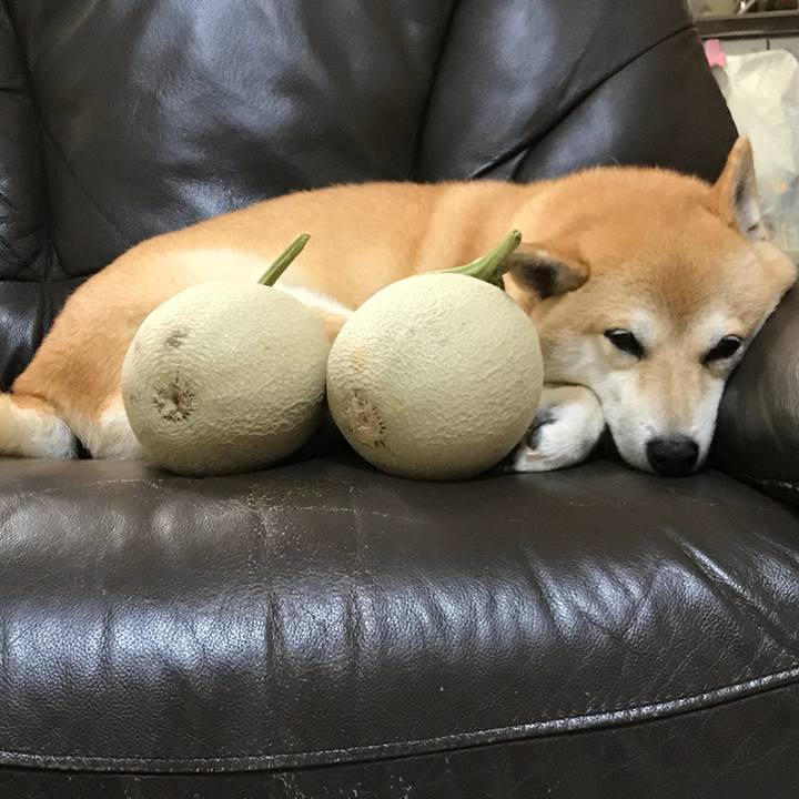 85107345 7160 4aeb a760 fc11ff1c0f6b