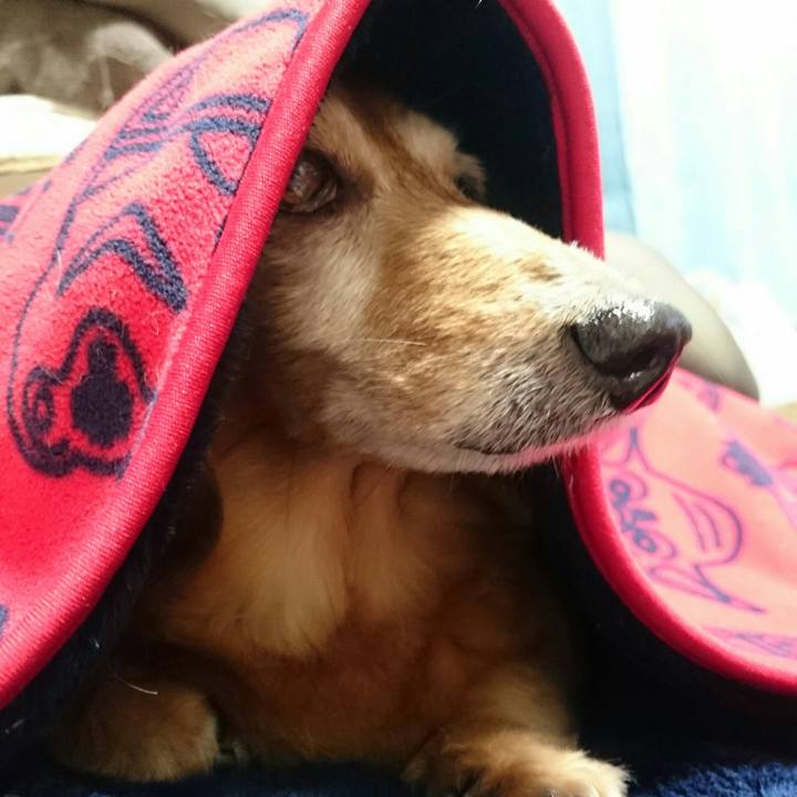 8510b8b5 0939 441d b909 f372350aeecb