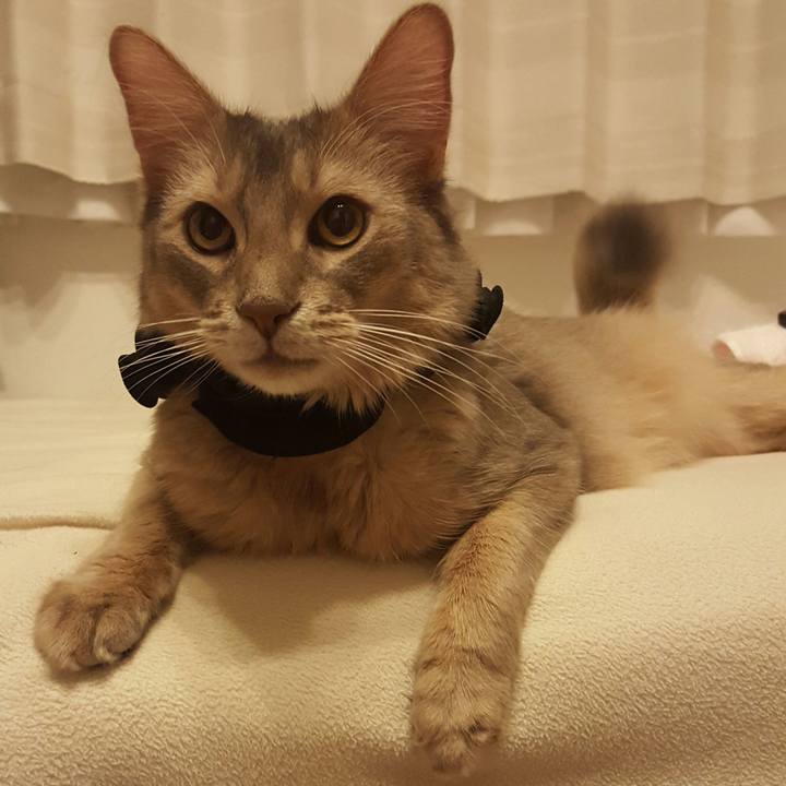 8510d203 da1f 48b3 a6c3 e34931920eae