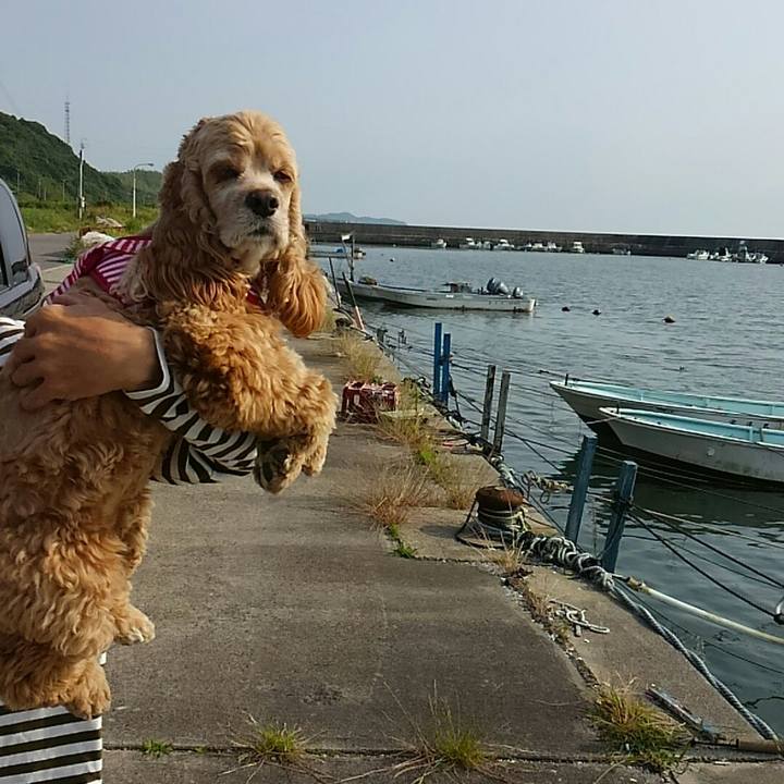 851124ae 8d7a 4fcf bd1b 83f7330da7a7