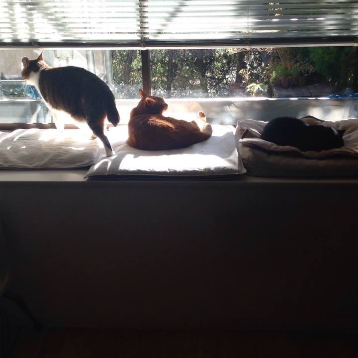 851156cc cca5 4414 8961 6240c8759da1