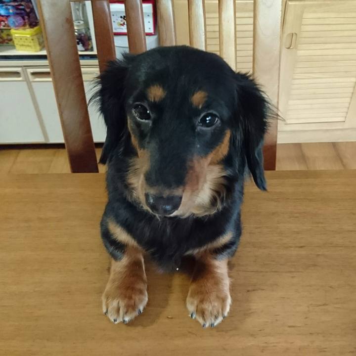 8511e156 33f5 4650 ad9b 2700eed90ec0