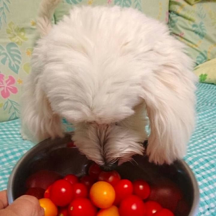 8511f513 5e0e 447f 908f cc5c44761d08