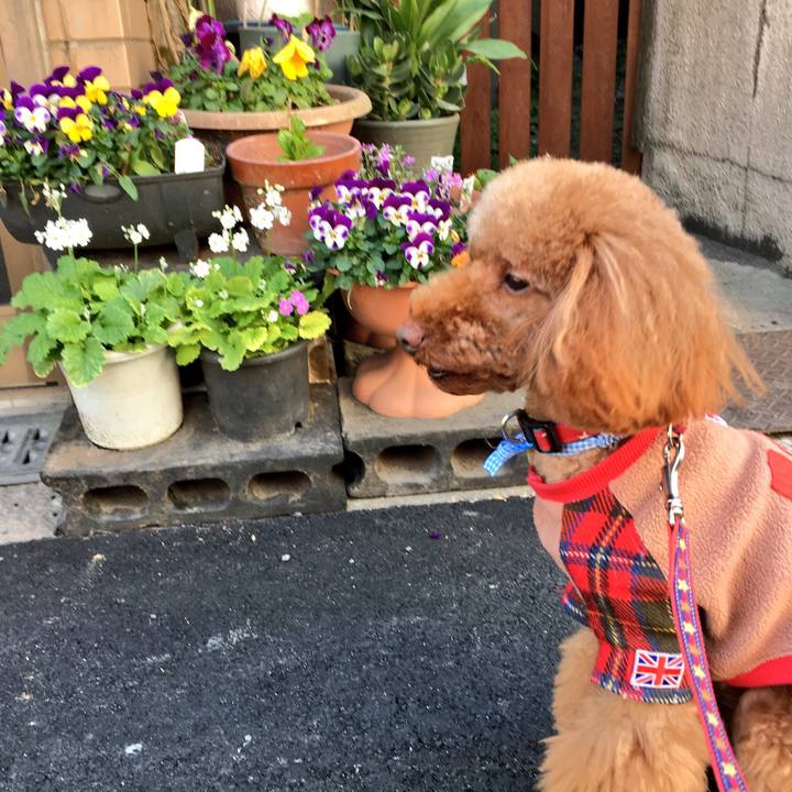 851201f9 e6da 409f bb25 f728cfdf6091