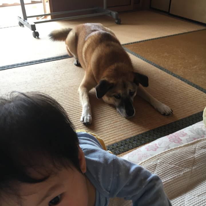 851263b9 2a60 49be aa11 1b9e0b4e4ad3