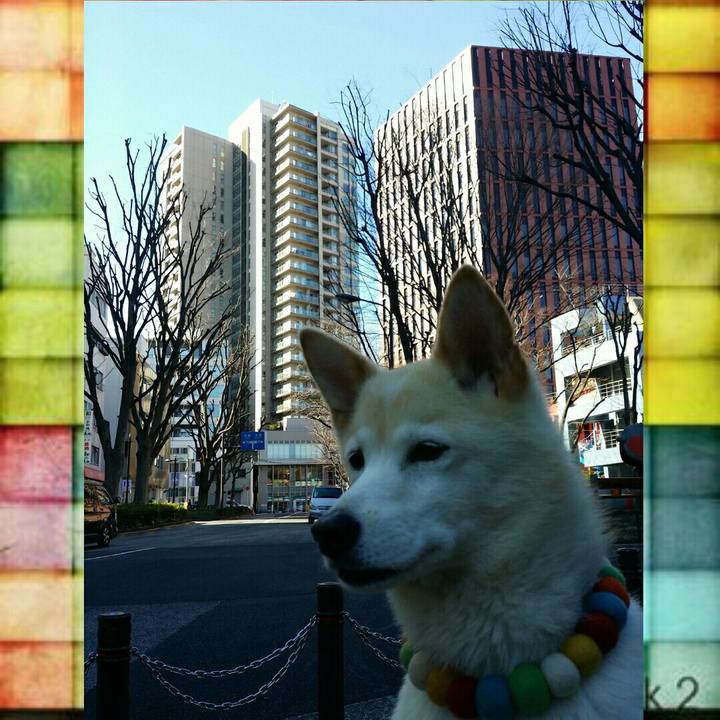 8512b502 9ac9 4467 b363 1870c41a1a3f