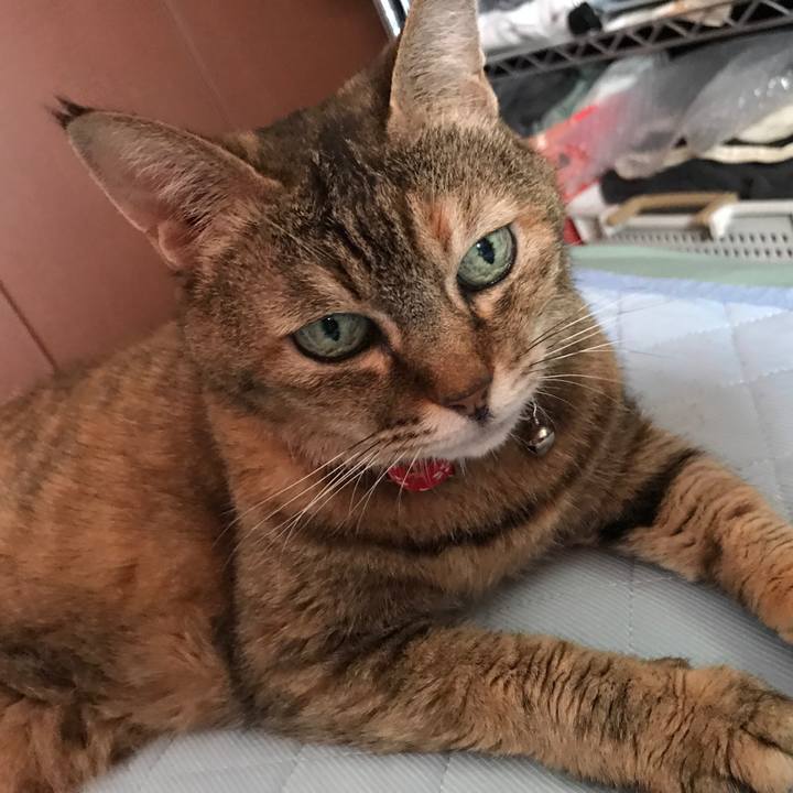 8512f86b fc0f 4ccf 97ba 509dd97538f7