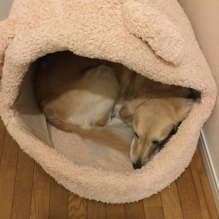 85136be8 7803 4fc8 aa05 a2624891b6ae