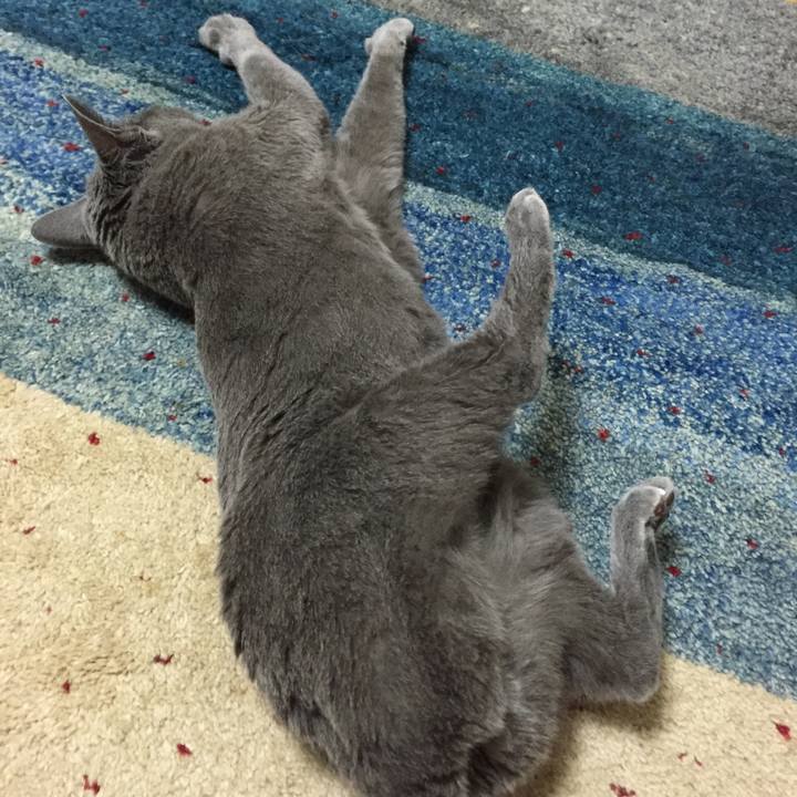 85140411 3b15 45b7 8d78 41680543c8ff