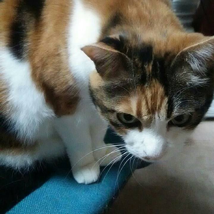 851468f3 01f3 49ef 85c8 f24c81c70f95