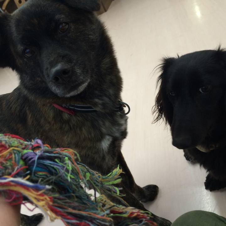 8514fc20 ac3f 49fd 81fc fbe44e853d98