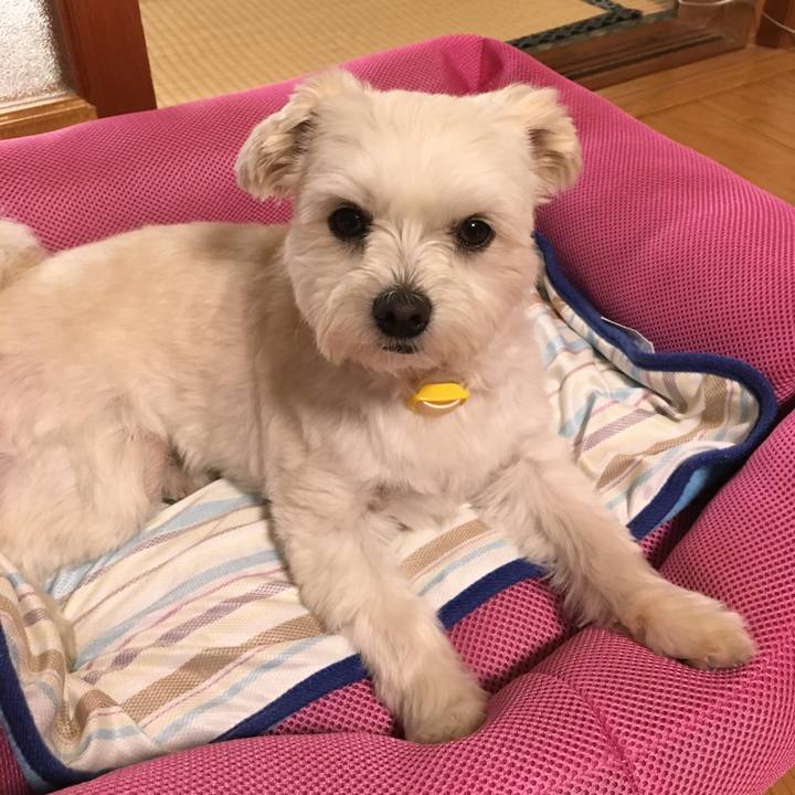 85155aff e117 4e56 9cd2 685349235437