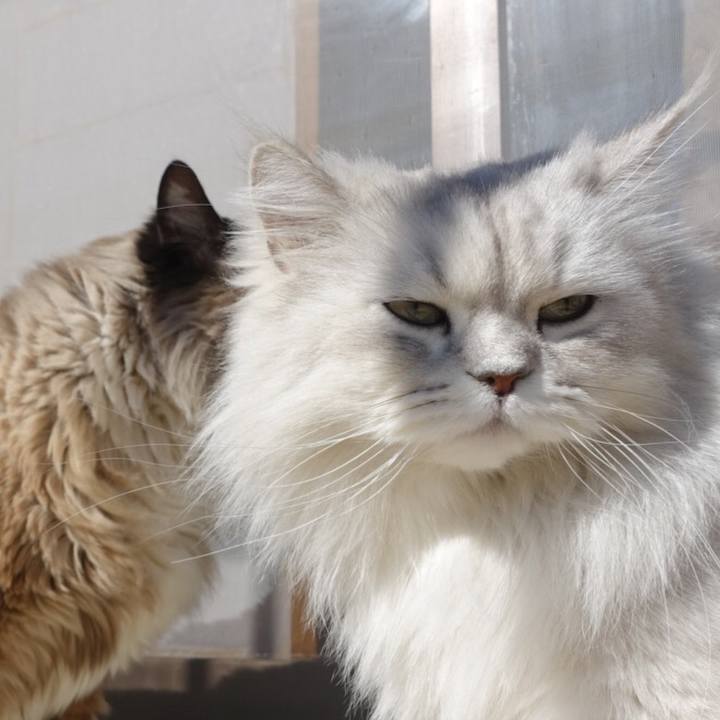 8515850f 4064 482a bff4 3753dca3af4f