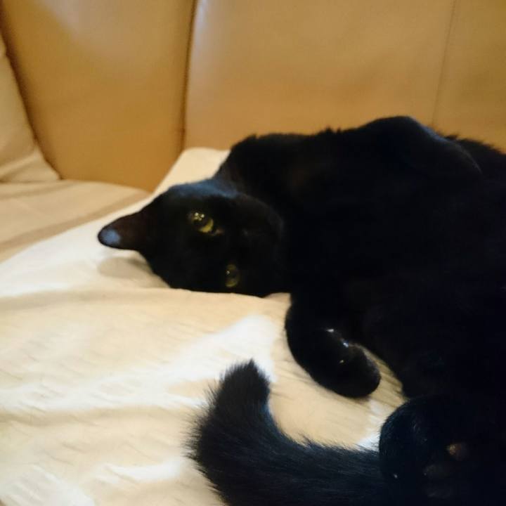 8517358b 3596 44c0 a242 c048bfbe52ab