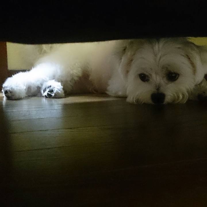 85173f9d 34d0 48d5 a076 93f6fc1947d7