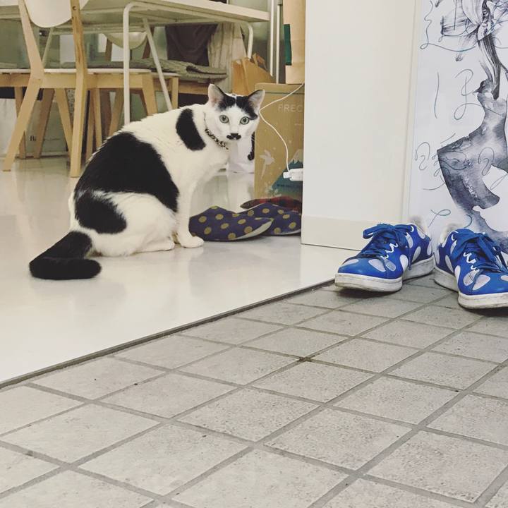 8517c7e6 c92c 4839 9a36 c27d9ba4bdf9