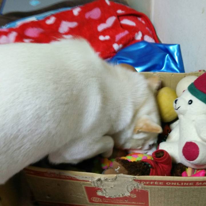 85182e40 6109 4a86 ac54 2bbd4f14edd5