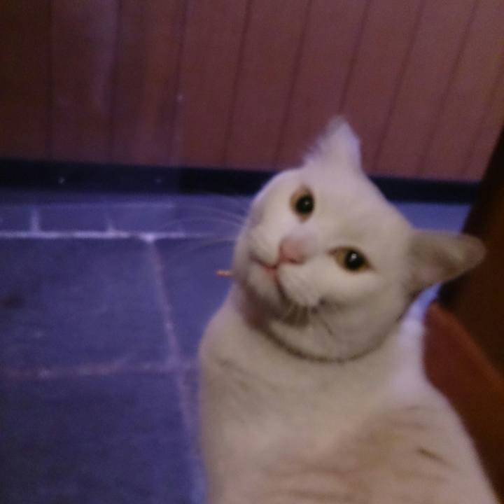 85186aae 85fc 488d 9b10 c4c8a308e45f