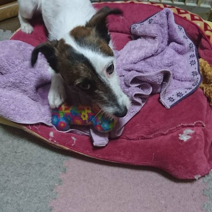 8518a6ee 7f0b 4f50 a836 d3c55fe5f73c