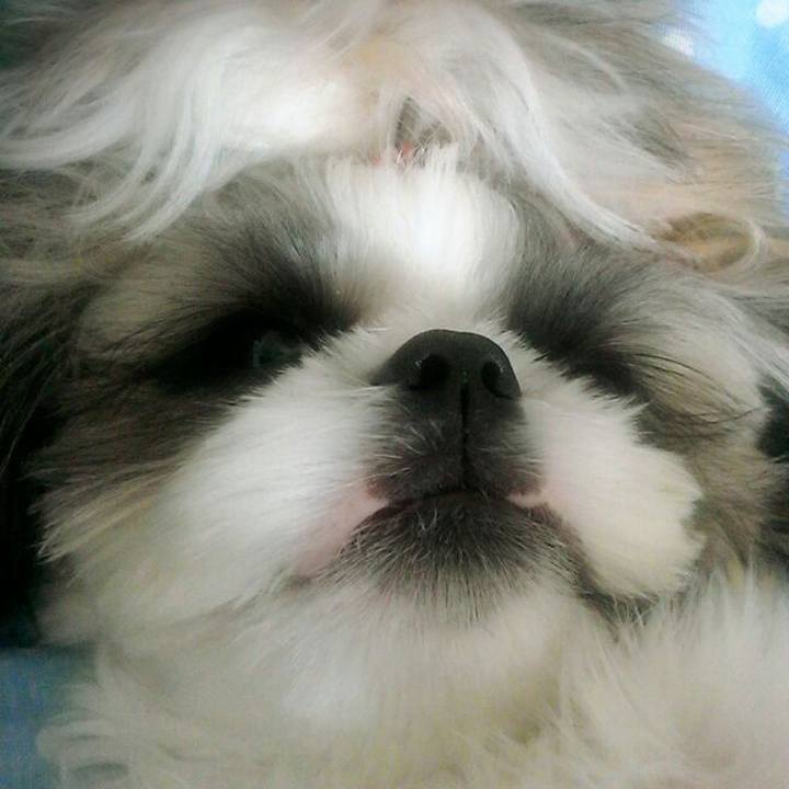 8518a8ba 9378 490c ac62 3f419e1a2dce