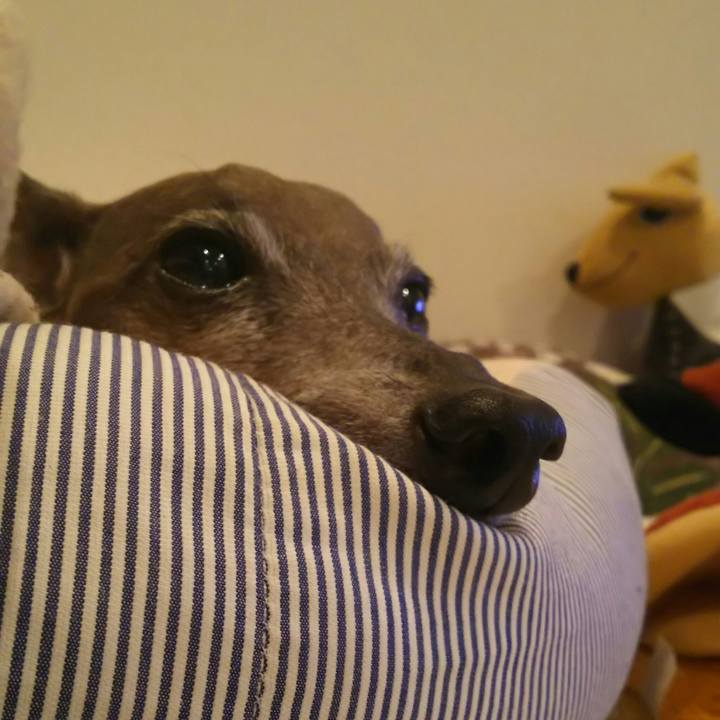 8518c78d 84af 4d7c 98fc b2b5ff06cd21