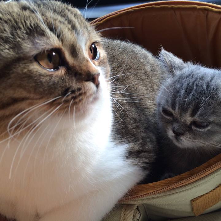 8518c91b 991f 4bdf b2e5 c8580966fee4