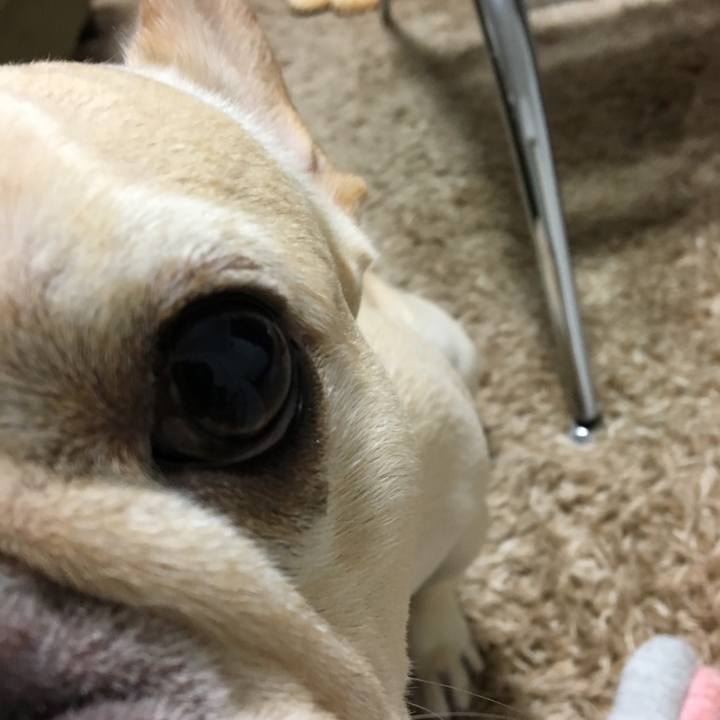 8518ed35 390b 42f1 9ab8 82cea49a2dba