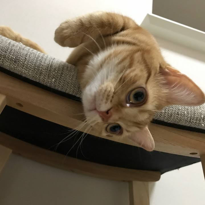 8519f39a ce71 4cf0 bd69 d8a277073550