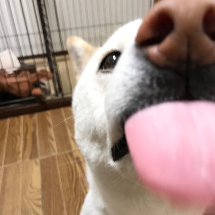 851a3a3a d2ed 4e89 86c8 3d725b23bf45