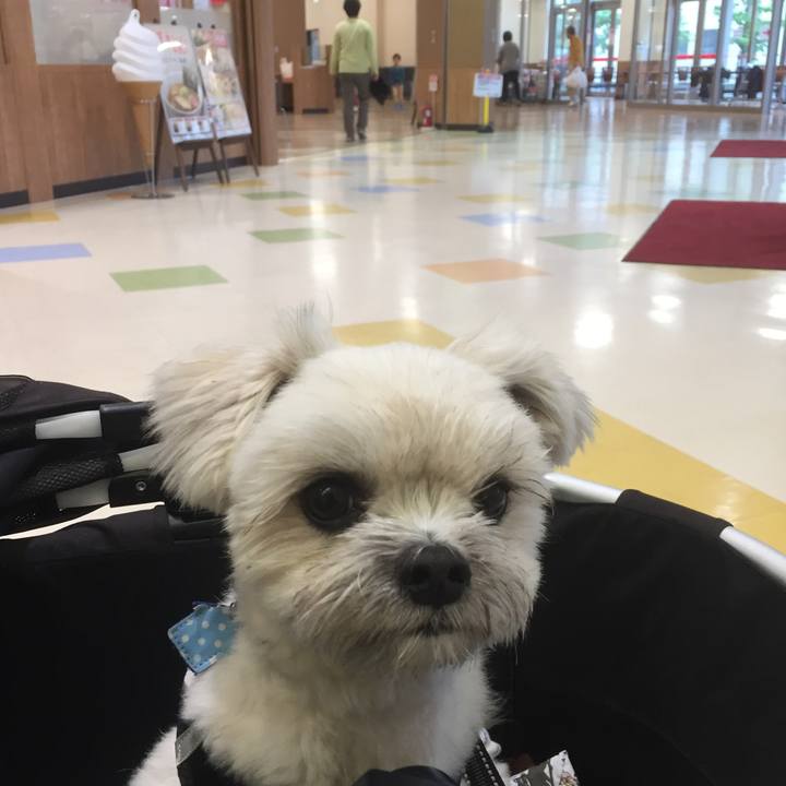 851a6356 97b4 42d6 8886 521fe23191e0