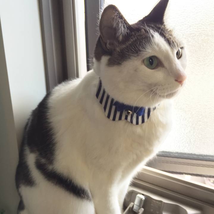 851aa096 5a68 4813 9141 ca5c484bd965