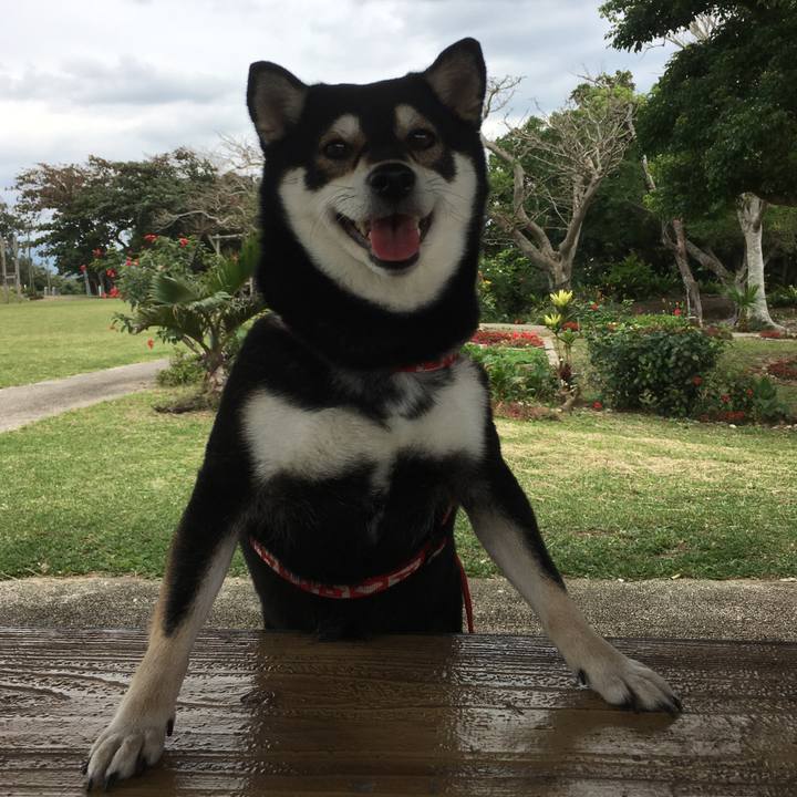 851aa81c 9e9d 4601 a920 3213c6f58755