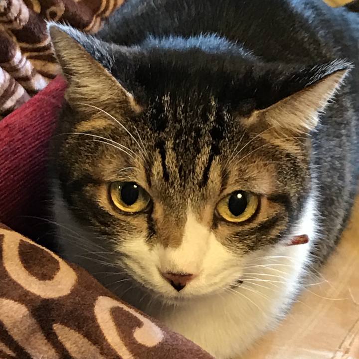 851ae4f6 dd4a 4e97 b080 1400e718b244