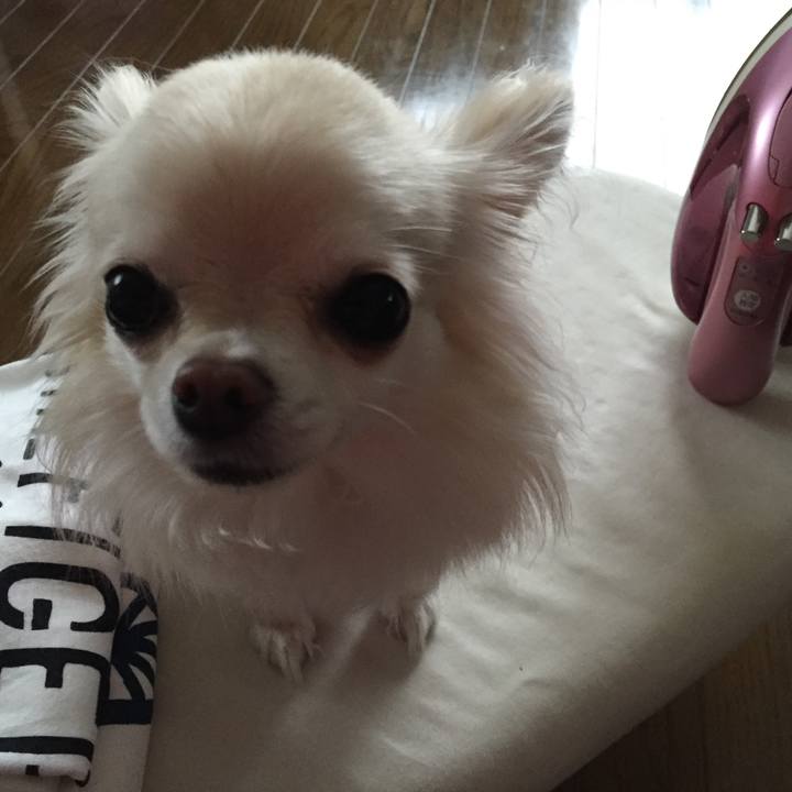 851aec13 a447 484c 89f4 316b373998d0