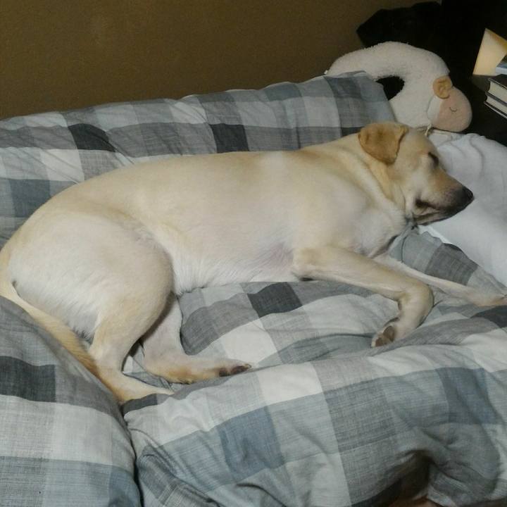 851b07e4 1155 42c5 b66c 1c4a2937c341