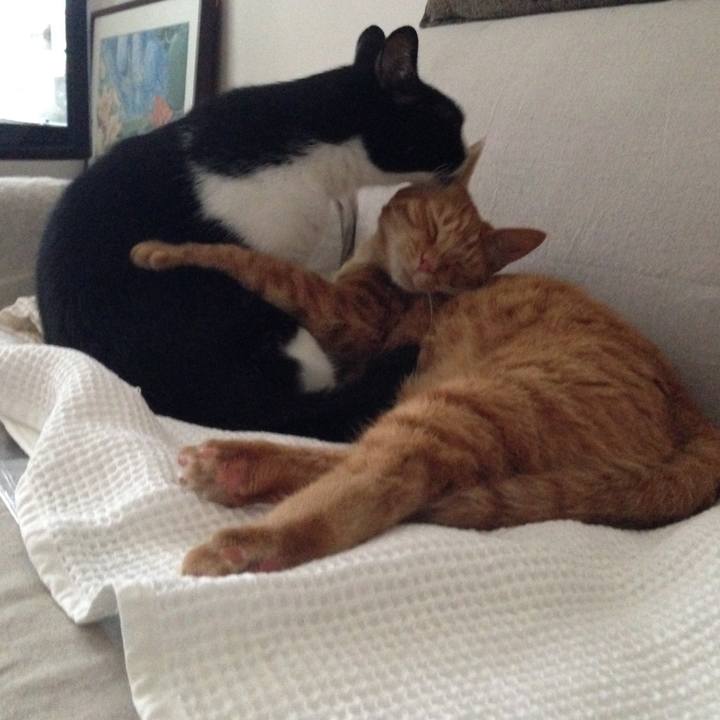 851b1293 f4cc 495e 9cd9 4ca03df6de6e