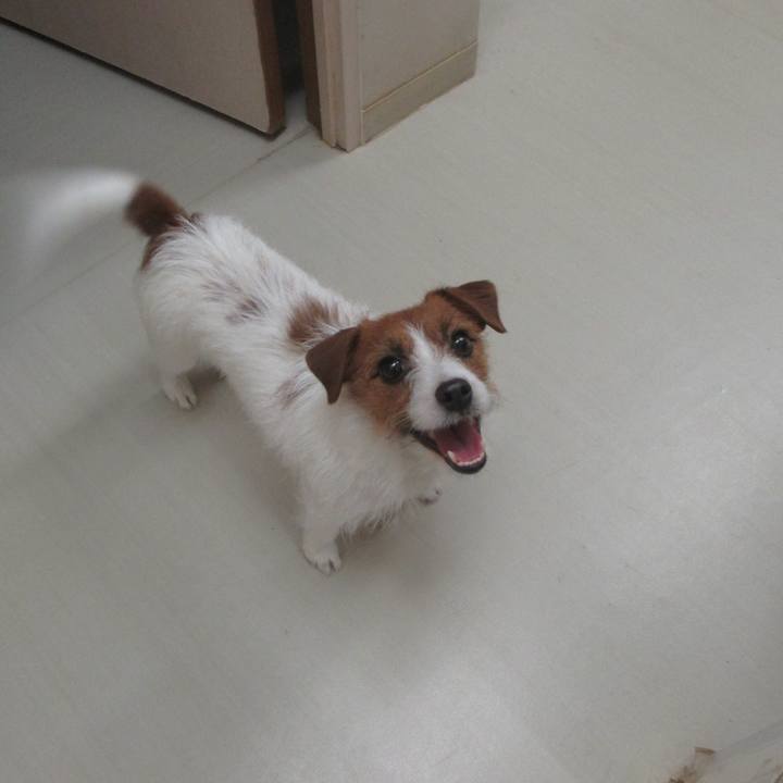 851c7bdd 82d3 4496 88b9 ec0c64d257be