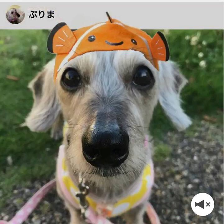 851c9fde 8124 41b6 8f86 67c988cd3ef9