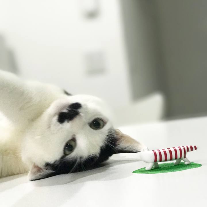 851ce96c 2aed 43d9 b620 14918c4fbf4a