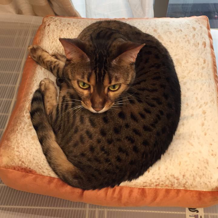 851d09a0 dce5 437b aacc d1963dbf15ba