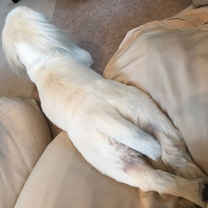 851d2c20 dbb3 4fdd b823 a2b93c2708b9