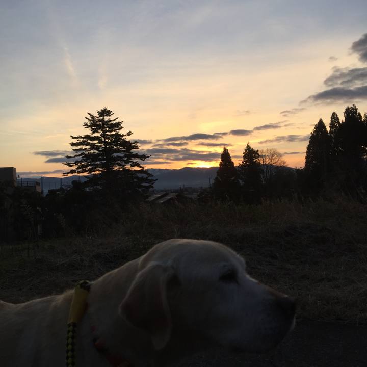 851de606 6c8e 4bcb 9fbd 5ff5e5c8ee87